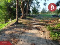 ขายที่ดิน เนื้อที่ 49 ไร่ 79.3 ตร.วา ท่าช้าง จันทบุรี-202510271550361761555036957.jpg