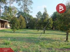 ขายที่ดิน เนื้อที่ 49 ไร่ 79.3 ตร.วา ท่าช้าง จันทบุรี-202510271550371761555037492.jpg