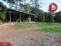 ขายที่ดิน เนื้อที่ 49 ไร่ 79.3 ตร.วา ท่าช้าง จันทบุรี-202510271550381761555038267.jpg