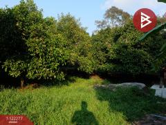 ขายที่ดิน เนื้อที่ 49 ไร่ 79.3 ตร.วา ท่าช้าง จันทบุรี-202510271550381761555038797.jpg