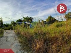 ขายที่ดิน เนื้อที่ 1 งาน 97.7 ตร.วา นครสวรรค์ตก นครสวรรค์-202510271552201761555140108.jpg