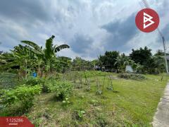 ขายที่ดิน เนื้อที่ 1 งาน 66 ตร.วา อัมพวา สมุทรสงคราม