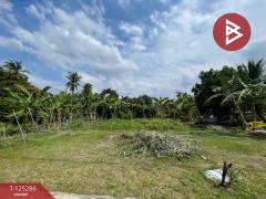 ขายที่ดิน เนื้อที่ 1 งาน 66 ตร.วา อัมพวา สมุทรสงคราม-202510271600161761555616217.jpg