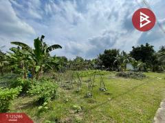 ขายที่ดิน เนื้อที่ 1 งาน 66 ตร.วา อัมพวา สมุทรสงคราม-202510271600161761555616776.jpg