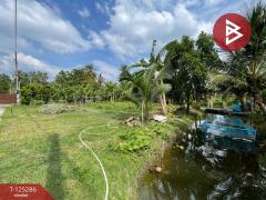 ขายที่ดิน เนื้อที่ 1 งาน 66 ตร.วา อัมพวา สมุทรสงคราม-202510271600171761555617313.jpg