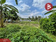 ขายที่ดิน เนื้อที่ 1 งาน 66 ตร.วา อัมพวา สมุทรสงคราม-202510271600171761555617850.jpg