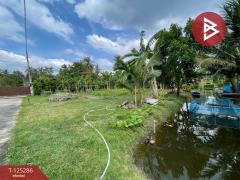 ขายที่ดิน เนื้อที่ 1 งาน 66 ตร.วา อัมพวา สมุทรสงคราม-202510271600181761555618385.jpg