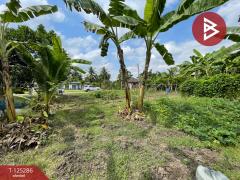 ขายที่ดิน เนื้อที่ 1 งาน 66 ตร.วา อัมพวา สมุทรสงคราม-202510271600181761555618916.jpg