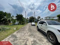 ขายที่ดิน เนื้อที่ 1 งาน 66 ตร.วา อัมพวา สมุทรสงคราม-202510271600201761555620568.jpg