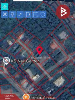 ขายที่ดิน เนื้อที่ 1 งาน 66 ตร.วา อัมพวา สมุทรสงคราม-202510271600211761555621104.jpg