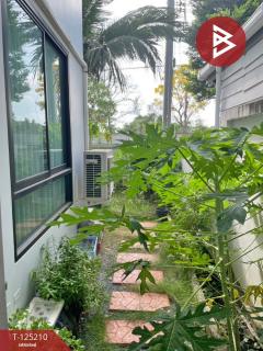  ขายบ้านเดี่ยว หมู่บ้านเดอะพาร์ค2 พระราม2-บางกระเจ้า (The Park2) สมุทรสาคร-202510271608451761556125222.jpg