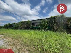 ขายที่ดินพร้อมสิ่งปลูกสร้าง เนื้อที่ 3 ไร่ 1 งาน 18.1 ตร.วา สวนป่าน นครปฐม-202510271612021761556322601.jpg