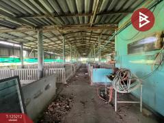 ขายที่ดินพร้อมสิ่งปลูกสร้าง เนื้อที่ 3 ไร่ 1 งาน 18.1 ตร.วา สวนป่าน นครปฐม-202510271612041761556324726.jpg