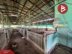 ขายที่ดินพร้อมสิ่งปลูกสร้าง เนื้อที่ 3 ไร่ 1 งาน 18.1 ตร.วา สวนป่าน นครปฐม-202510271612051761556325771.jpg