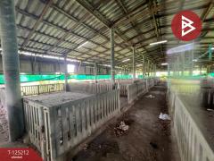 ขายที่ดินพร้อมสิ่งปลูกสร้าง เนื้อที่ 3 ไร่ 1 งาน 18.1 ตร.วา สวนป่าน นครปฐม-202510271612061761556326824.jpg