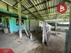 ขายที่ดินพร้อมสิ่งปลูกสร้าง เนื้อที่ 3 ไร่ 1 งาน 18.1 ตร.วา สวนป่าน นครปฐม-202510271612071761556327359.jpg