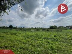 ขายที่ดินพร้อมสิ่งปลูกสร้าง เนื้อที่ 3 ไร่ 1 งาน 18.1 ตร.วา สวนป่าน นครปฐม-202510271612071761556327898.jpg