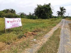 ขายที่ดินท่าไข่ 4 ไร่ 2 งาน จ.ฉะเชิงเทรา ที่ดินเพื่อการลงทุน ที่ดินเผื่อการเกษตร เจ้าของขายเอง -202510271622171761556937765.jpg
