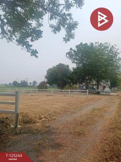  ขายที่ดิน เนื้อที่ 82 ตร.วา บ้านยาง นครปฐม