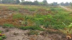 ขายที่ดินท่าไข่ 4 ไร่ 2 งาน จ.ฉะเชิงเทรา ที่ดินเพื่อการลงทุน ที่ดินเผื่อการเกษตร เจ้าของขายเอง -202510271622181761556938915.jpg