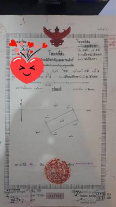 ขายที่ดินท่าไข่ 4 ไร่ 2 งาน จ.ฉะเชิงเทรา ที่ดินเพื่อการลงทุน ที่ดินเผื่อการเกษตร เจ้าของขายเอง -202510271622211761556941993.jpg