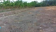 ขายที่ดินท่าไข่ 4 ไร่ 2 งาน จ.ฉะเชิงเทรา ที่ดินเพื่อการลงทุน ที่ดินเผื่อการเกษตร เจ้าของขายเอง -202510271623301761557010445.jpg