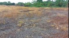 ขายที่ดินท่าไข่ 4 ไร่ 2 งาน จ.ฉะเชิงเทรา ที่ดินเพื่อการลงทุน ที่ดินเผื่อการเกษตร เจ้าของขายเอง -202510271623311761557011401.jpg