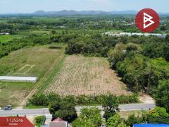  ขายที่ดิน เนื้อที่ 4 ไร่ 1 งาน 45 ตร.วา ท่ามะกา กาญจนบุรี