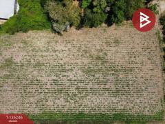  ขายที่ดิน เนื้อที่ 4 ไร่ 1 งาน 45 ตร.วา ท่ามะกา กาญจนบุรี-202510271637501761557870839.jpg