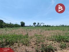  ขายที่ดิน เนื้อที่ 4 ไร่ 1 งาน 45 ตร.วา ท่ามะกา กาญจนบุรี-202510271637511761557871418.jpg