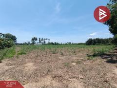  ขายที่ดิน เนื้อที่ 4 ไร่ 1 งาน 45 ตร.วา ท่ามะกา กาญจนบุรี-202510271637511761557871946.jpg