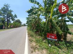  ขายที่ดิน เนื้อที่ 4 ไร่ 1 งาน 45 ตร.วา ท่ามะกา กาญจนบุรี-202510271637521761557872801.jpg