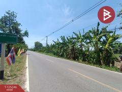  ขายที่ดิน เนื้อที่ 4 ไร่ 1 งาน 45 ตร.วา ท่ามะกา กาญจนบุรี-202510271637531761557873338.jpg