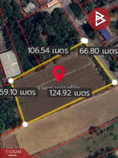  ขายที่ดิน เนื้อที่ 4 ไร่ 1 งาน 45 ตร.วา ท่ามะกา กาญจนบุรี-202510271637531761557873873.jpg