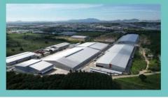 เช่าโรงงาน 13220 ตารางเมตรเขตปลอดอากร เขตฟรีโซน ผังม่วง ปลวกแดง ระยอง