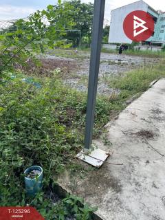 ขายที่ดิน เนื้อที่ 2 งาน 30 ตร.วา ลาดกระบัง กรุงเทพมหานคร-202510271701451761559305917.jpg