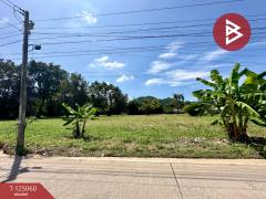 ขายที่ดิน-เนื้อที่-8-ไร่-80.7-ตร.วา-ศรีรา