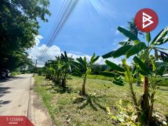  ขายที่ดิน เนื้อที่ 8 ไร่ 80.7 ตร.วา ศรีราชา ชลบุรี-202510271721251761560485654.jpg