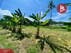  ขายที่ดิน เนื้อที่ 8 ไร่ 80.7 ตร.วา ศรีราชา ชลบุรี-202510271721271761560487837.jpg