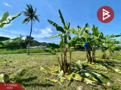  ขายที่ดิน เนื้อที่ 8 ไร่ 80.7 ตร.วา ศรีราชา ชลบุรี-202510271721281761560488370.jpg