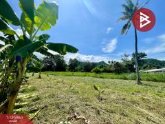  ขายที่ดิน เนื้อที่ 8 ไร่ 80.7 ตร.วา ศรีราชา ชลบุรี-202510271721281761560488903.jpg