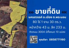  ขายที่ดิน 80 ไร่ 1 งาน 30 ตารางวา นครสวรรค์ อ.เมือง ต.พระนอน