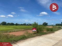 ขายที่ดิน เนื้อที่ 8 ไร่ บ้านไผ่ ขอนแก่น