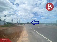 ขายที่ดิน เนื้อที่ 8 ไร่ บ้านไผ่ ขอนแก่น-202510271740131761561613609.jpg