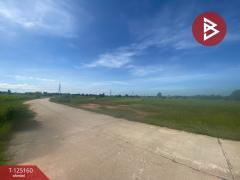 ขายที่ดิน เนื้อที่ 8 ไร่ บ้านไผ่ ขอนแก่น-202510271740161761561616778.jpg