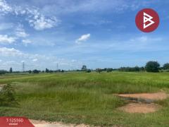 ขายที่ดิน เนื้อที่ 8 ไร่ บ้านไผ่ ขอนแก่น-202510271740171761561617827.jpg