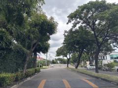 ให้เช่า บ้านเดี่ยว มัณฑนา พระราม 9–ศรีนครินทร์ 66 ตร.ว. 300 ตร.ม. 3 นอน 3 น้ำ 2 ชั้น จอดรถได้ 2 คัน เฟอร์นิเจอร์ครบ-202510271834541761564894832.jpg