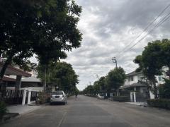 ให้เช่า บ้านเดี่ยว มัณฑนา พระราม 9–ศรีนครินทร์ 66 ตร.ว. 300 ตร.ม. 3 นอน 3 น้ำ 2 ชั้น จอดรถได้ 2 คัน เฟอร์นิเจอร์ครบ-202510271834551761564895784.jpg