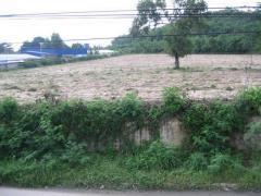 ขายที่ดินเปล่า บ้านฉาง ระยอง 6 ไร่ ติดถนนสุขุมวิท ทำเลทอง ใกล้ EEC TP-L1821