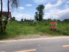 Vายที่ดินวงแหวนกาญจนาภิเษก 85 ตารางวา ติดถนนลาดยาง ถมแล้ว ซอย ประชาอุทิศ 76 เขตทุ่งครุ กทม.-202510271914421761567282411.jpeg